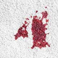 Blood Stain Removal
