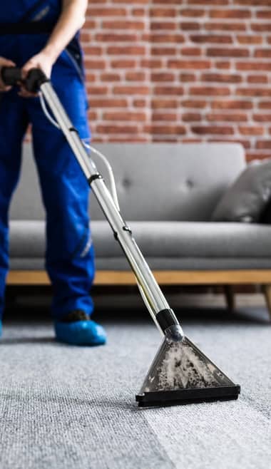 Carpet Cleaning and Stain Treatment With Experts