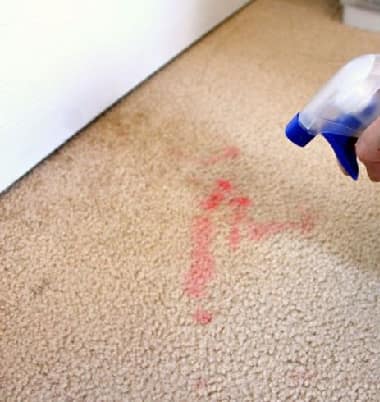 Professional Carpet Stain Removal Sydney