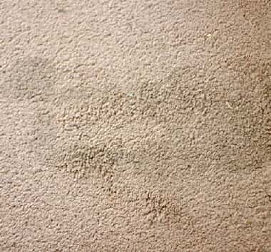 Sydney Carpet Stains Removal