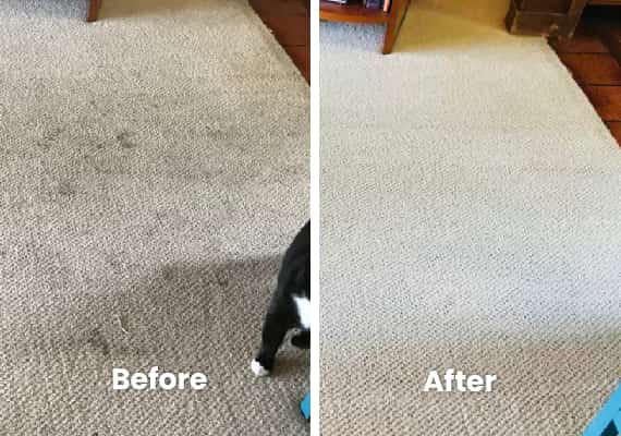 Carpet Dry Cleaning Mosman