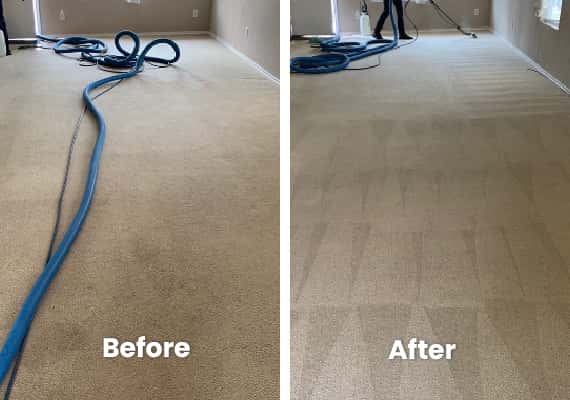 Carpet Steam-Cleaning