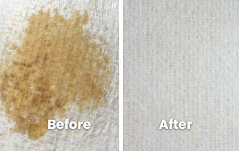 Rug Stain Removal Service