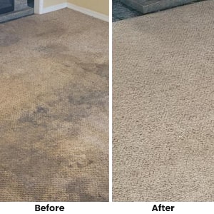 Get Affordable Carpet Cleaning Services in Sydney