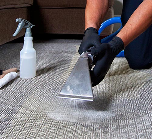 Deep Carpet Sanitization Service