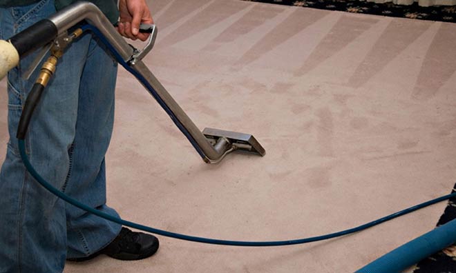 Our Professional Approach To Clean Your Carpet