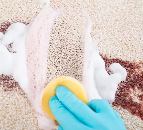 Pet Odor and Stain Treatment