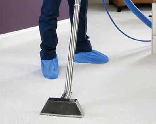 Our Bust Carpet Cleaning Process in  Mosman