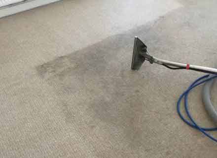 Benefits of Choosing Us For Carpet Cleaning Cronulla