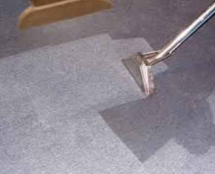 Benefits of Choosing 711 Carpet Cleaning in Bondi
