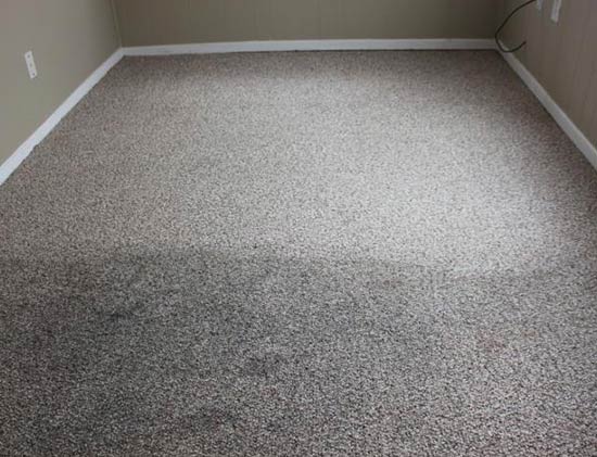Carpet Cleaning South Penrith