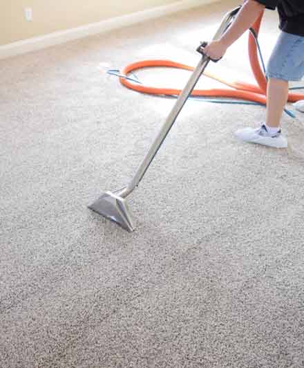Our Carpet Cleaning Cronulla Process