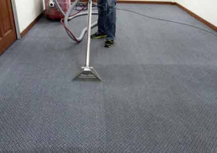 Our Cleaning Process - Carpet Cleaning Bondi